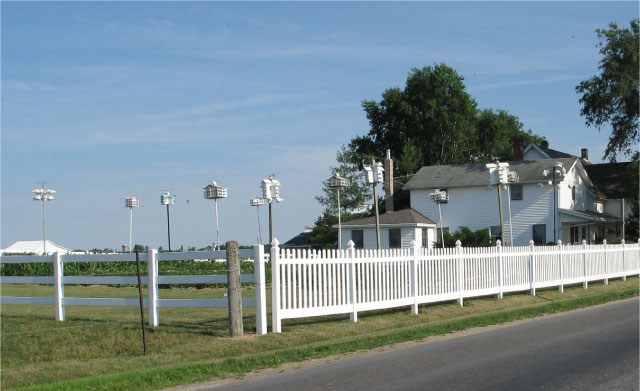 Amish Birdhouses