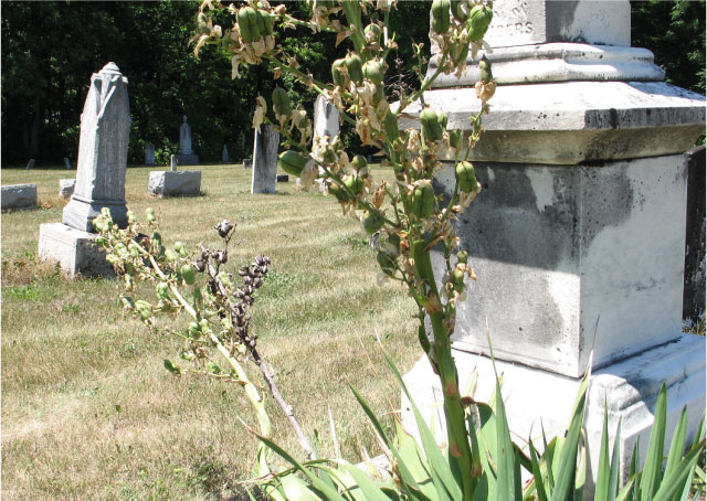 Norcross gravestone