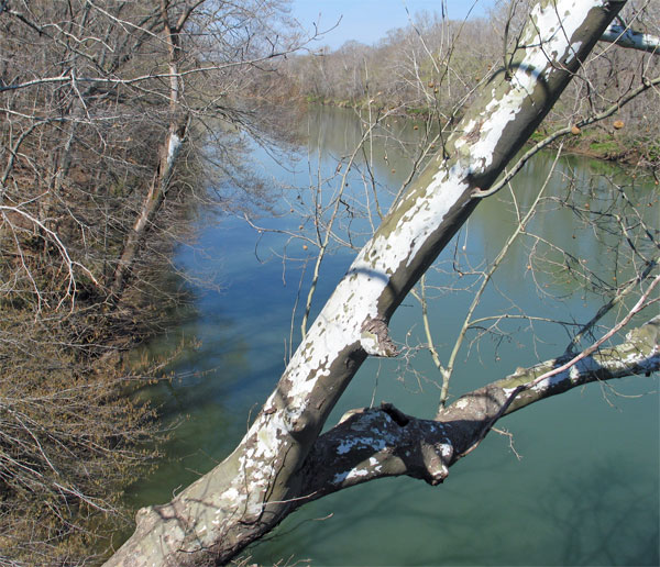 img_1991-web.jpg