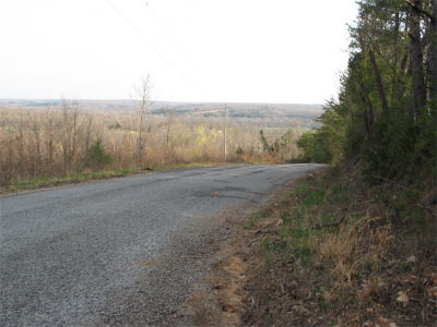 img_2010-web.jpg