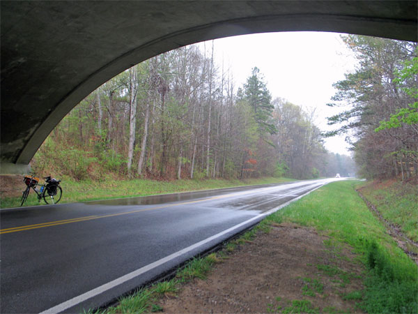 Under a bridge on the Natchez Trace