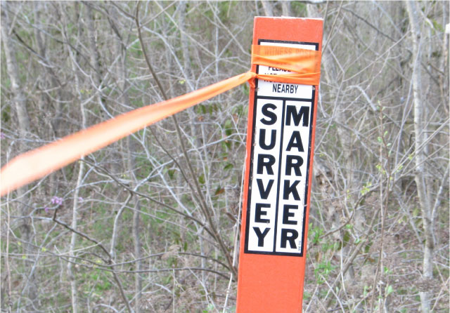 Survey Marker at Flatwoods