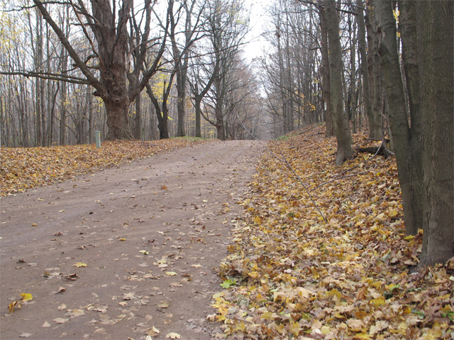 Back road in Barry County