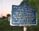 Little Turtle's Village