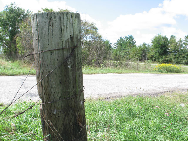 wronglocation-6062.jpg