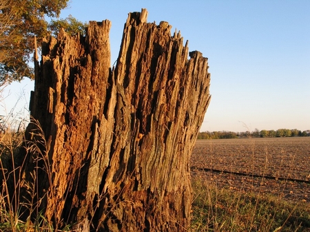 climaxprairie-6597