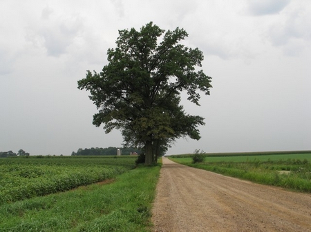 eastofnappanee-5290