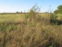 Maria Creek cemetery