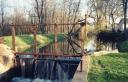 Water wheels and bicycle wheels