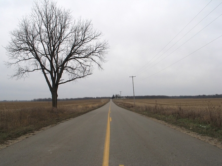 opavenue-6691