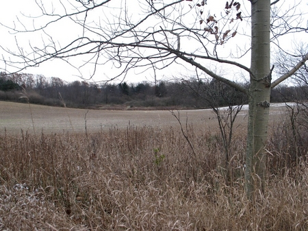 potterlake-6654