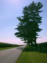 The Sauk Trail in Door Prairie
