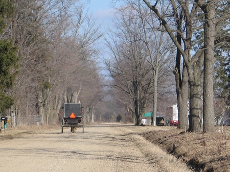 buggy-goodrich-6843