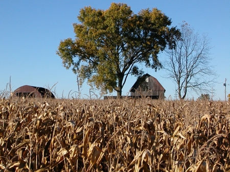 eel-river-farm-3850