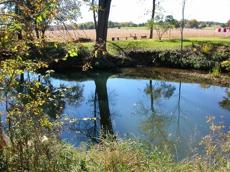 turkey-creek-3824
