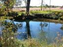 Turkey Creek
