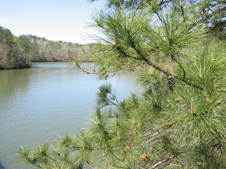 elkahatchee-creek-2323