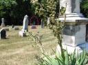 Allen Norcross's gravestone