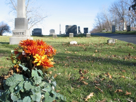 white-gravestone-3865