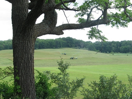 irving-s8-7400