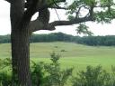 Northwest corner of Irving Township