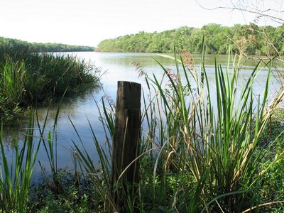 apalachicola-river-2675
