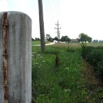 Rectangles and GPS