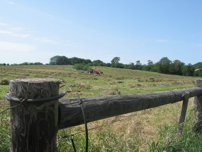 parish-7733