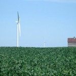 Windmill conflict