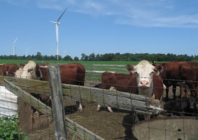 windmills-7721