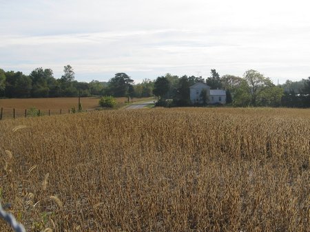 wright-house-8979