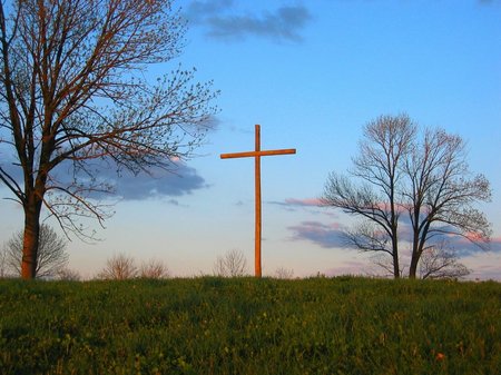 cross-pasture-2207b