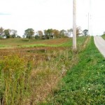 The Cross in the Pasture