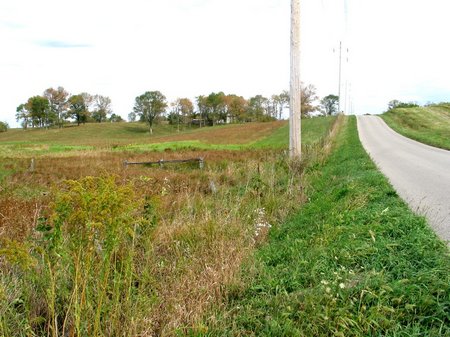 cross-pasture-9077