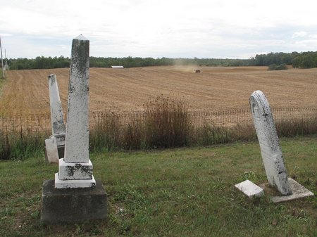 olive-cemetery-9074
