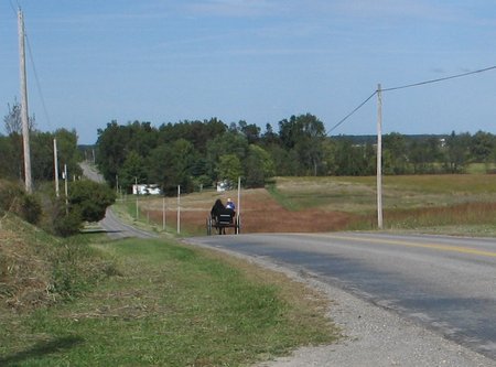vance-buggy-9057
