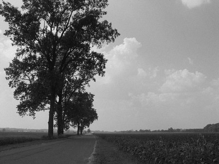 mad-valley-sepia-8650