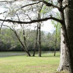 Biculturalism on the Early American Frontier