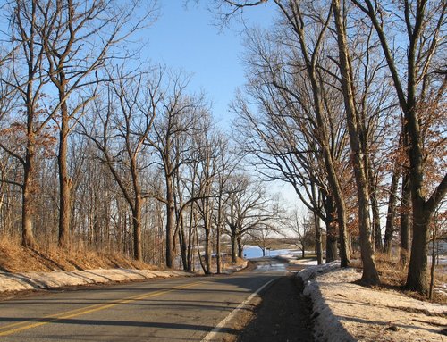 banfield-road-9653