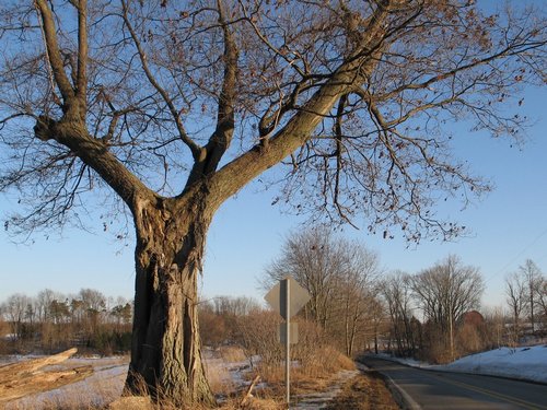 banfield-road-9654