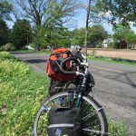 Alfred Arnold of Eckford Township