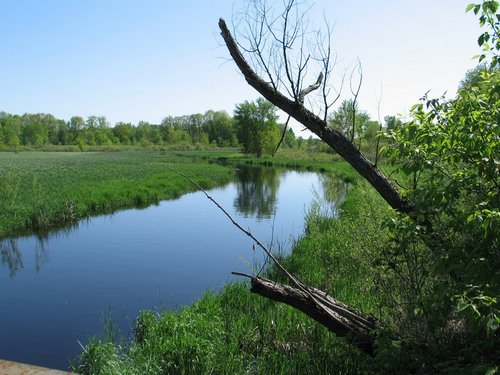 pinecreek-9899