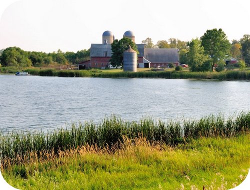 farm-0887
