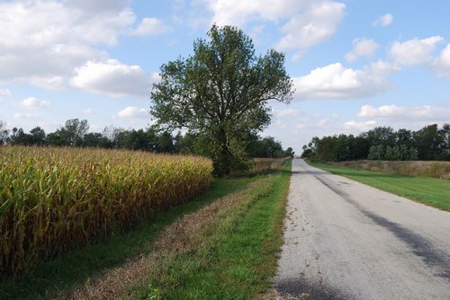 DSC 0008 019