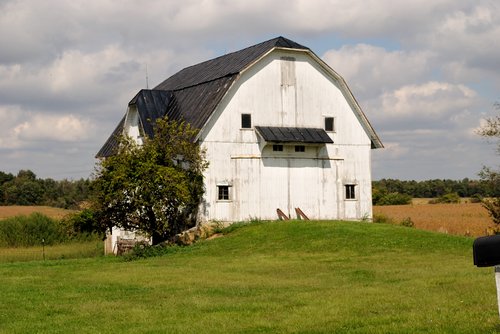DSC 1004 009