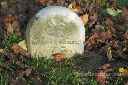 arba-cem-parker-0113-09-09-28-1743-wm