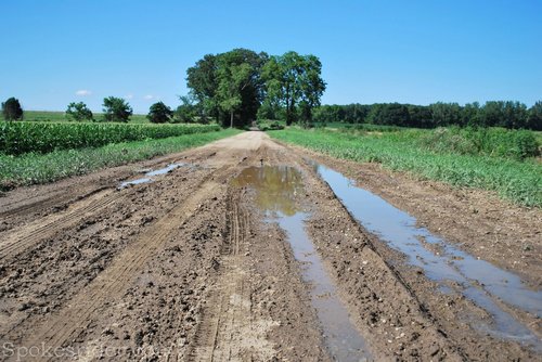 mi-stjoseph-osgoodroad-0424-wm