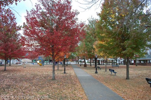 il-edwards-westsalem-0286