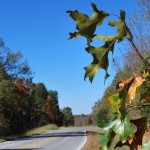Tunnel Hill Road
