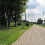 Looking for an old Hicks farm on CR N 450 E Looking for an old Hicks farm on CR N 450 E